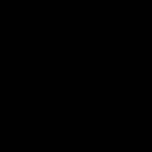 Meet your Posher, Ingrid